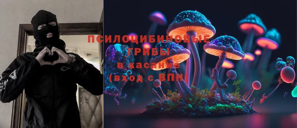 соль ск Алексин